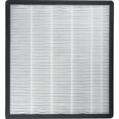 Filter 2900